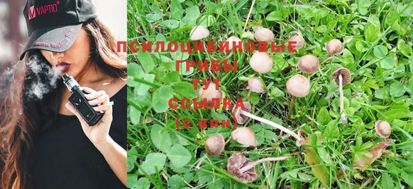 винт Белоозёрский